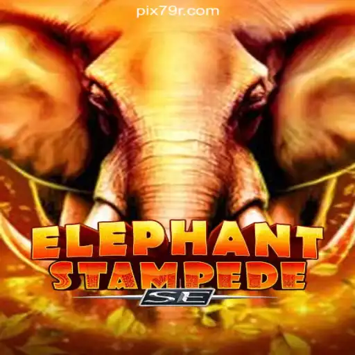 79R.COM platform-Oficial Slots Brasil #1 Card Games